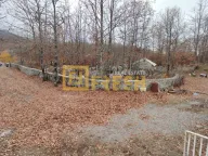 Sale, land lot, 68000m², Kuče, Podgorica - image 5