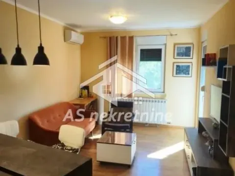 Izdavanje, stan, 37m², Zemun Sve Podlokacije, Beograd - image 3