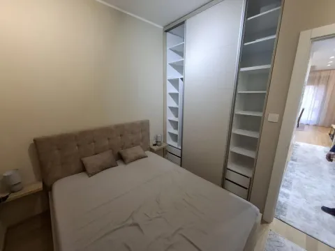 Izdavanje, jednosoban stan, 44m², Centar, Novi Sad - image 9
