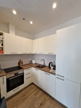 Modern kitchen with white cabinetry and built-in appliances. - image 7