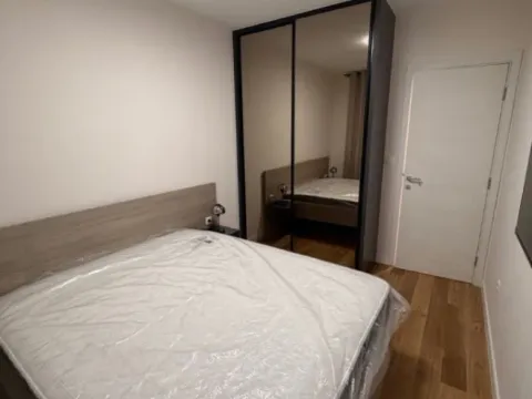 Izdavanje, jednosoban stan, 47m², Central Point, Podgorica - image 3