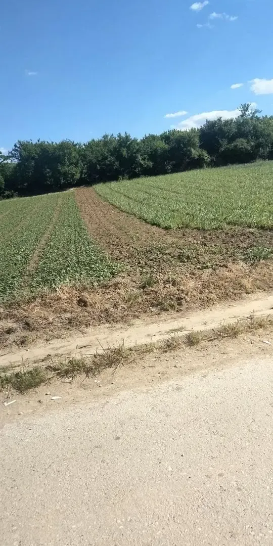 Prodaja, plac, 2600m², Palilula, Niš