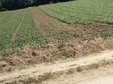 Prodaja, plac, 2600m², Palilula, Niš - image 4