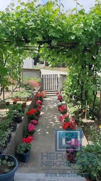 Prodaja, kuća, 500m², Despotovac, Srbija