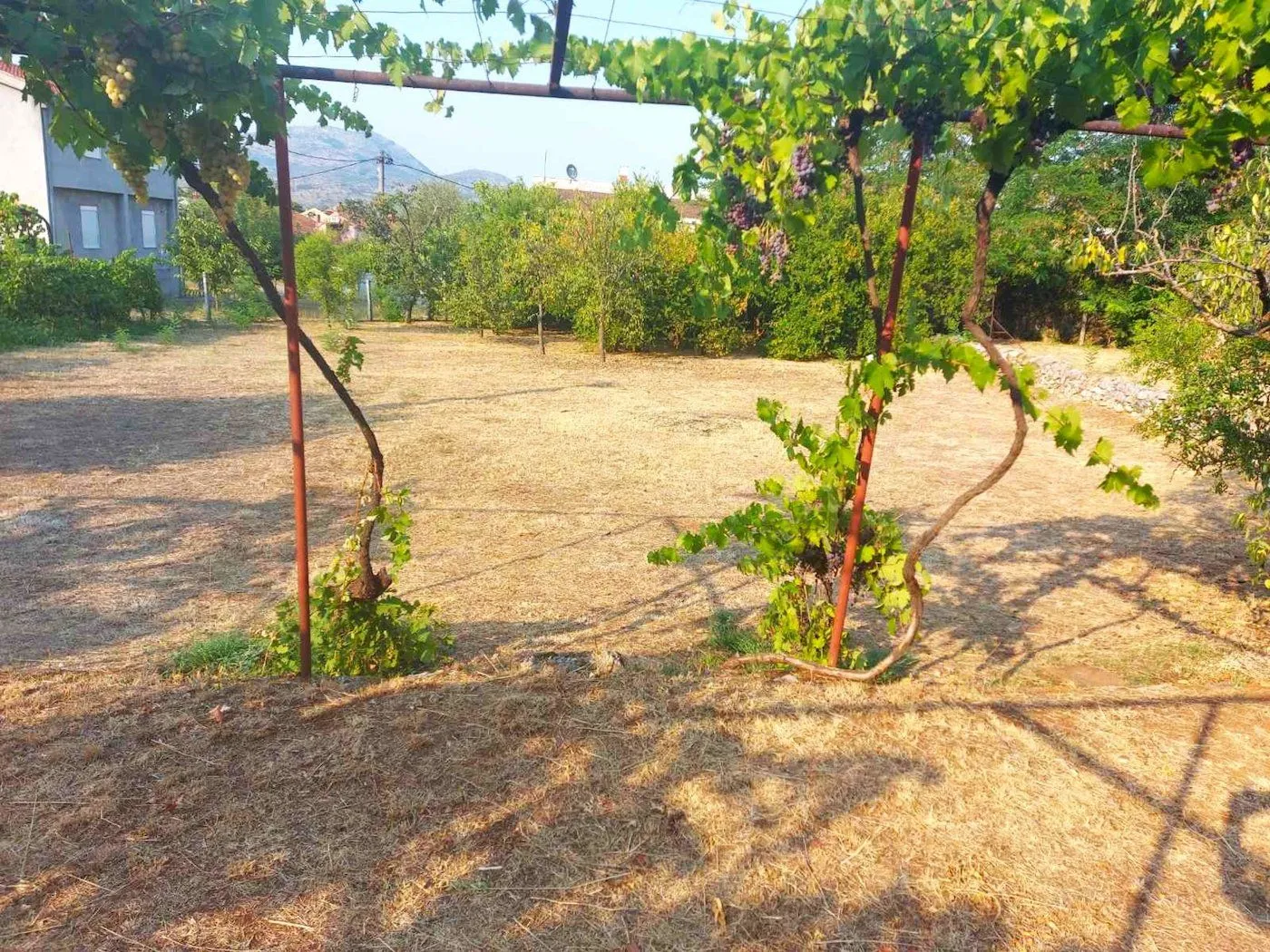 Prodaja, plac, 1400m², Zagorič, Podgorica