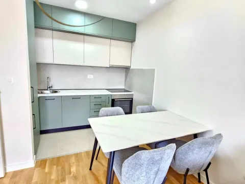 Izdavanje, jednosoban stan, 40m², Pobrežje, Podgorica - image 3