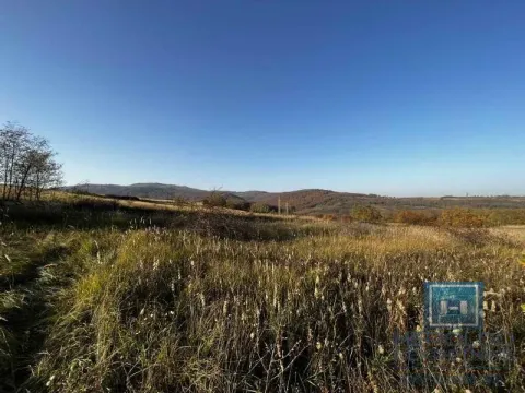 Sale, house, 20m², Lozovik, Jagodina - image 21