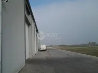 Izdavanje, poslovni prostor, 1045m², Karlovčić, Pećinci - image 5