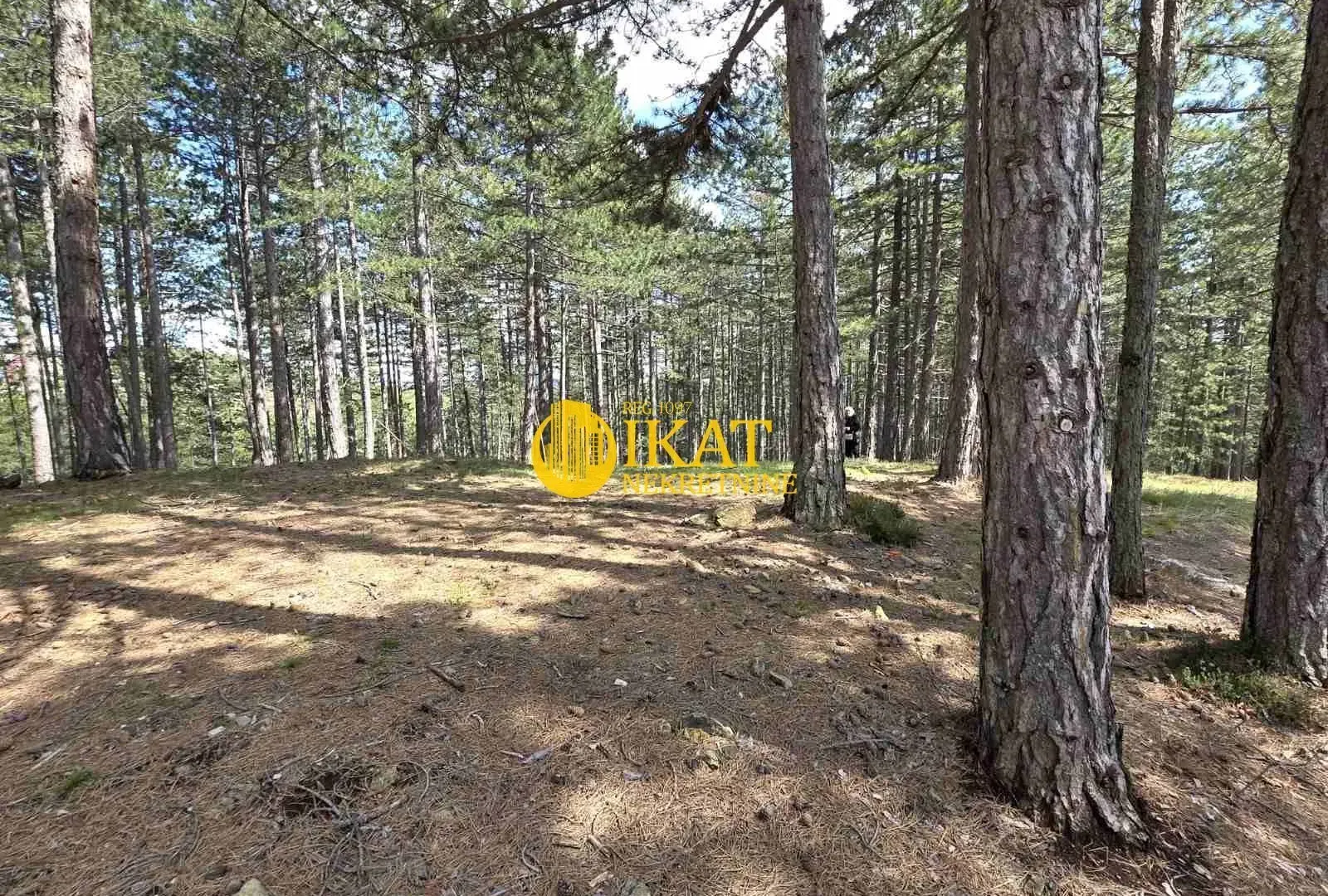 Prodaja, plac, 1272m², Tara, Srbija