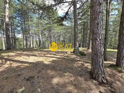 Prodaja, plac, 1272m², Tara, Srbija - image 3