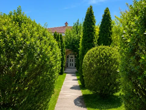 Rent, house, 230m², Dahna, Podgorica - image 4