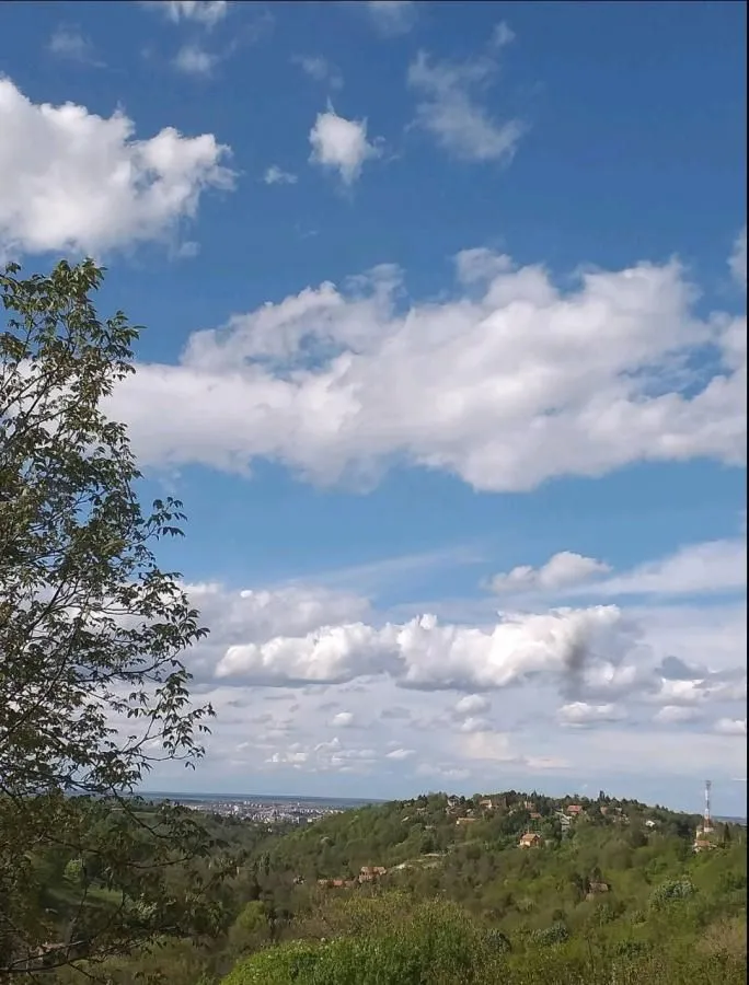 Prodaja, kuća, 180m², Sremska Kamenica, Petrovaradin