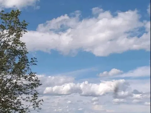 Sale, house, 180m², Sremska Kamenica, Petrovaradin - image 2