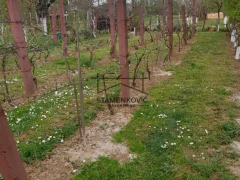 Prodaja, kuća, 111m², Banoštor, Beočin - image 3