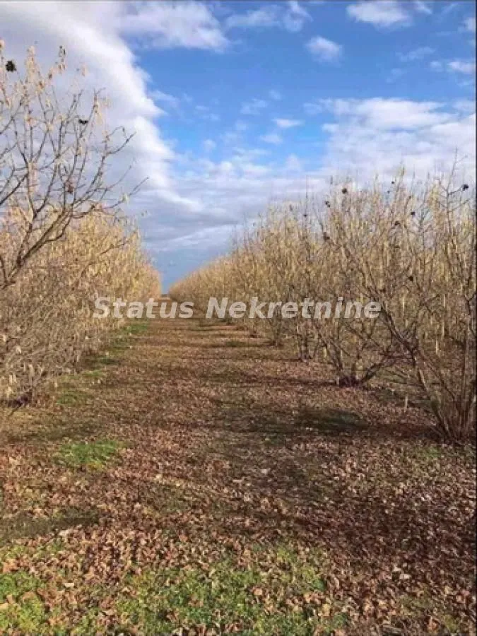Prodaja, plac, 16304m², Bela Palanka, Srbija
