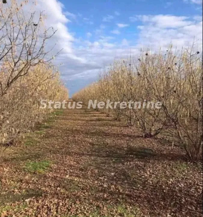 Prodaja, plac, 16304m², Bela Palanka, Srbija