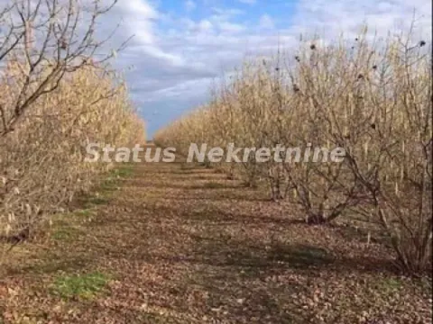Zemljište in Bela Palanka