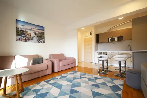 Living room with sofa and rug, connected to the kitchen and bar counter. - image 9