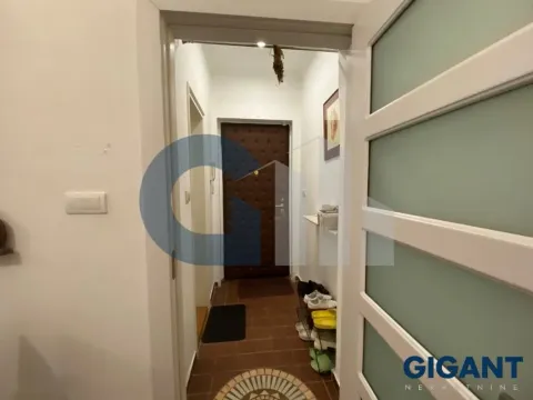 Sale, three bedroom apartment, 72m², Vračar Hram, Vračar Sve Podlokacije - image 15