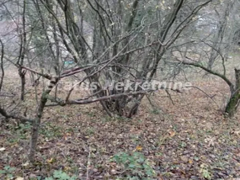 Sale, house, 32m², Banja Vrdnik, Irig - image 14