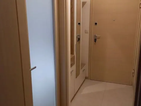 Izdavanje, jednosoban stan, 46m², City Kvart, Podgorica - image 3