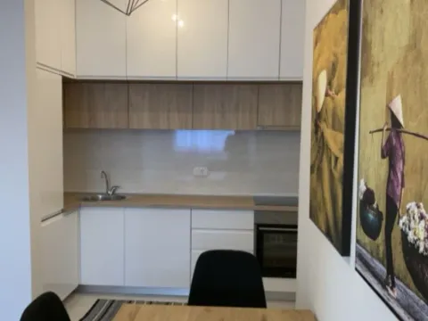 Izdavanje, jednosoban stan, 51m², Central Point, Podgorica - image 7