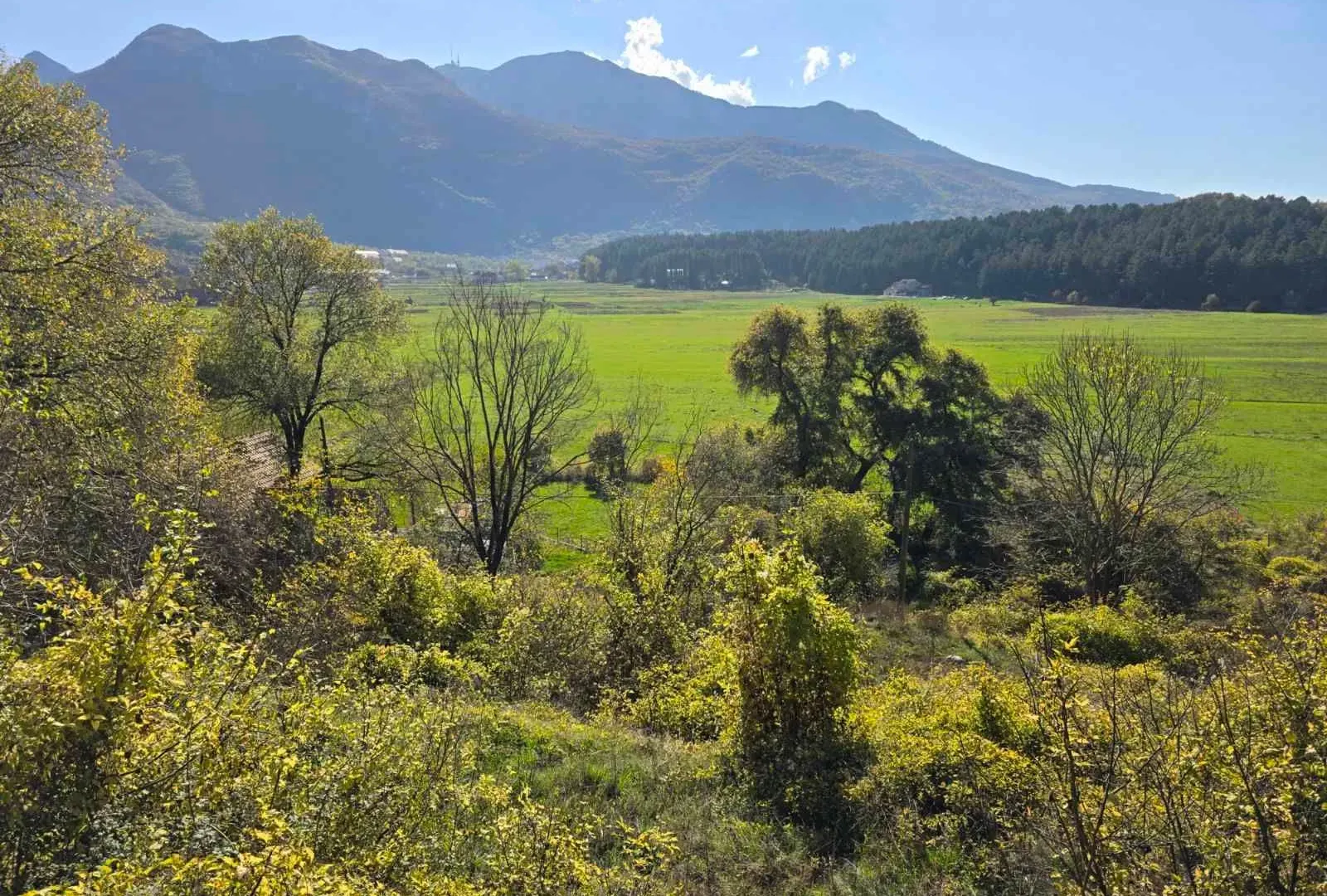 Prodaja, plac, 6000m², Cetinje, Crna Gora