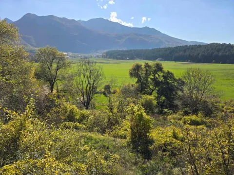 Prodaja, plac, 6000m², Cetinje, Crna Gora - image 3