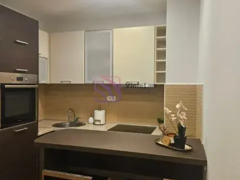 Rent, one bedroom apartment, 43m², Tološka šuma, Podgorica - image 7