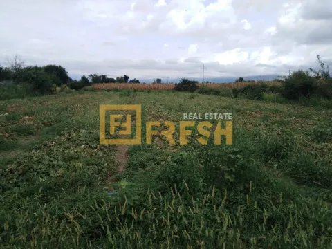 Prodaja, plac, 3150m², Ostalo, Podgorica - image 2