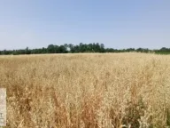 Prodaja, plac, 90m², Konatice, Obrenovac - image 2