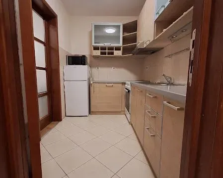 Izdavanje, jednosoban stan, 48m², Preko Morače, Podgorica - image 13