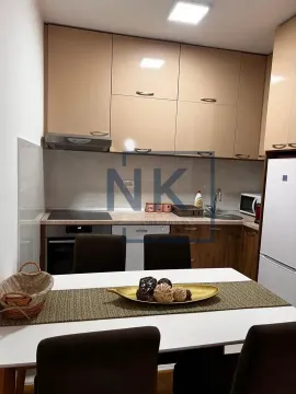 Prodaja, jednosoban stan, 49m², Central Point, Podgorica - image 3