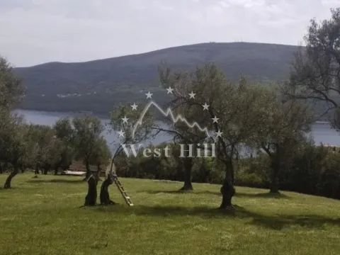 Prodaja, plac, 7560m², Đenovići, Herceg Novi - image 3