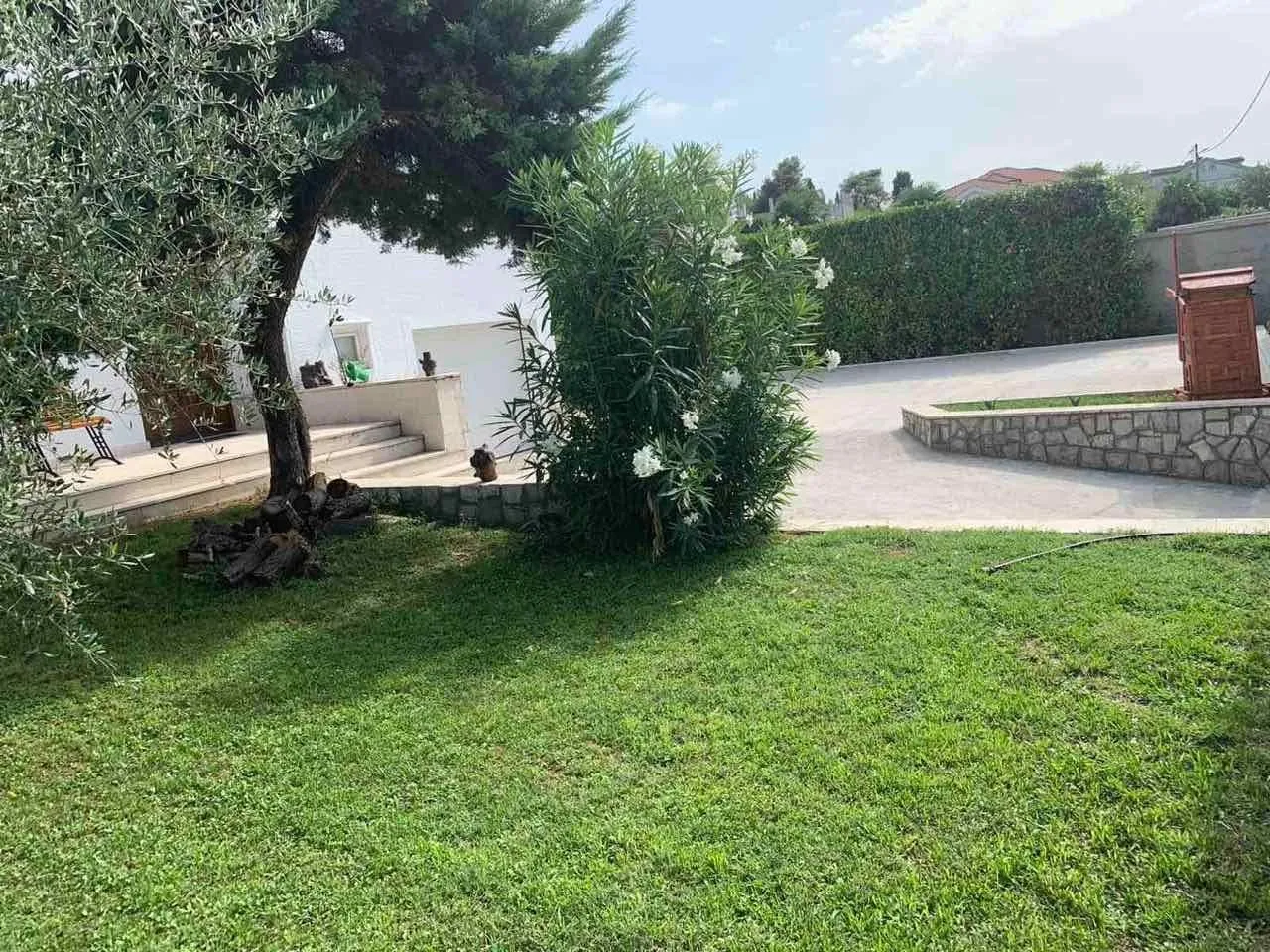 Landscaped yard with a lawn, ornamental plants, and a paved area.