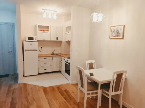Rent, one bedroom apartment, 43m², City Kvart, Podgorica - image 6