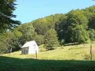 Sale, land lot, 99100m², Donja Bukovica, Šavnik - image 14