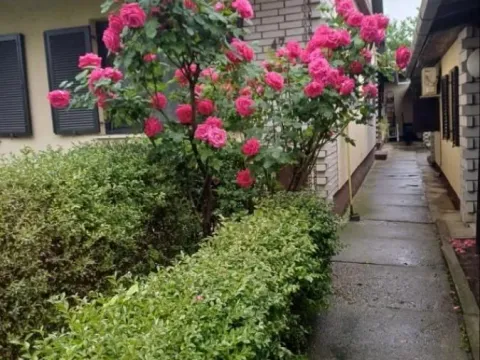 Izdavanje, dvosoban stan, 50m², Liman 4, Novi Sad Sve Podlokacije - image 14