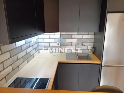 Rent, two bedroom apartment, 43m², Autokomanda, Voždovac Sve Podlokacije - image 7