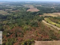 Prodaja, plac, 10m², Mislodjin, Obrenovac - image 5