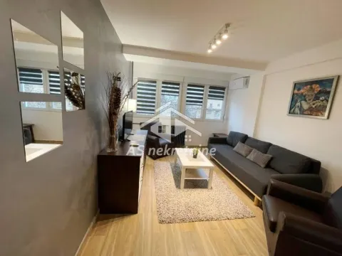 Izdavanje, dvosoban stan, 50m², Novi Beograd Sve Podlokacije, Beograd - image 3