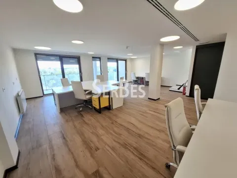 Rent, office space, 314m², Liman 3, Novi Sad Sve Podlokacije - image 12