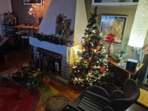 Sale, house, 104m², Sremska Kamenica, Petrovaradin - image 2