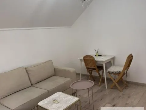 Izdavanje, jednosoban stan, 30m², Obrenovac, Beograd - image 2