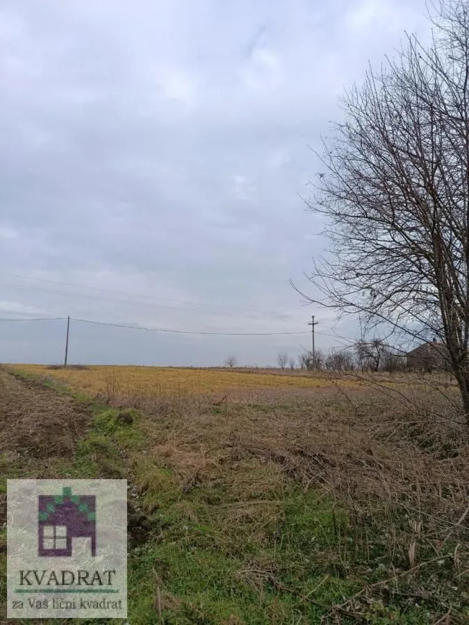 Prodaja, plac, 2500m², Zvečka, Obrenovac