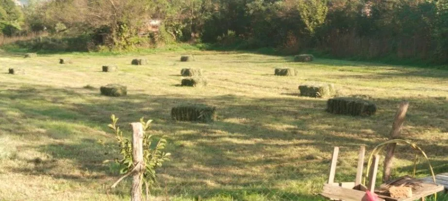 Prodaja, plac, 1000m², Spuž, Danilovgrad