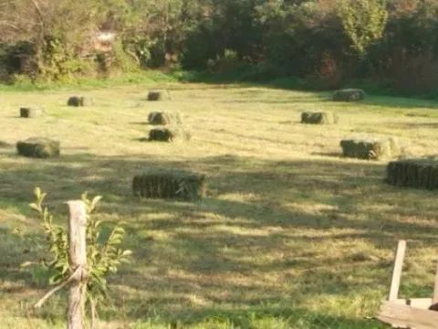 Sale, land lot, 1000m², Spuž, Danilovgrad - image 2