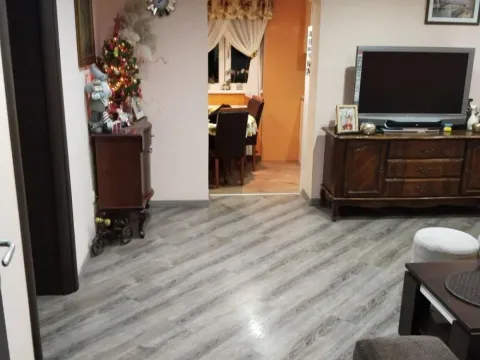 Sale, house, 214m², Zvezdarska Šuma, Zvezdara Sve Podlokacije - image 13