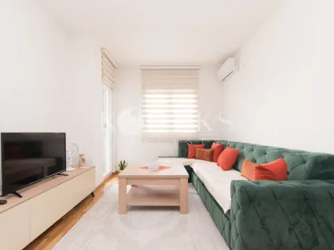 Izdavanje, jednosoban stan, 48m², Stari Aerodrom, Podgorica - image 1