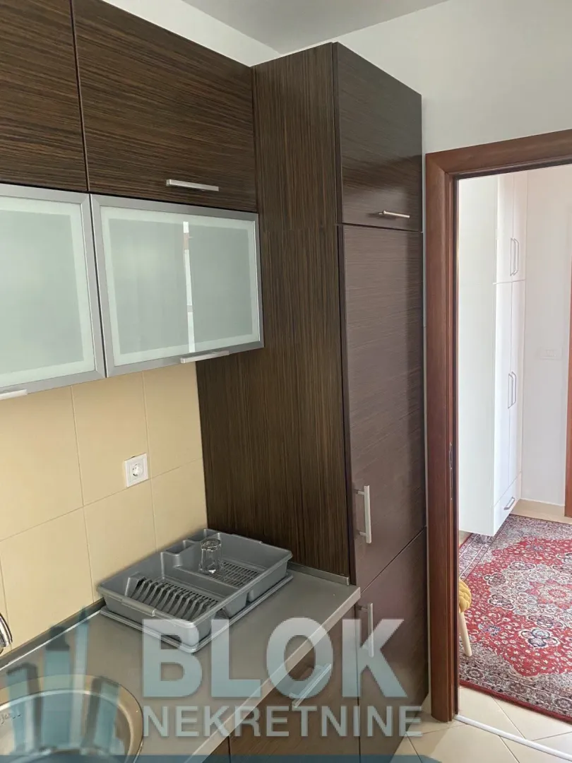 Izdavanje, jednosoban stan, 55m², Preko Morače, Podgorica